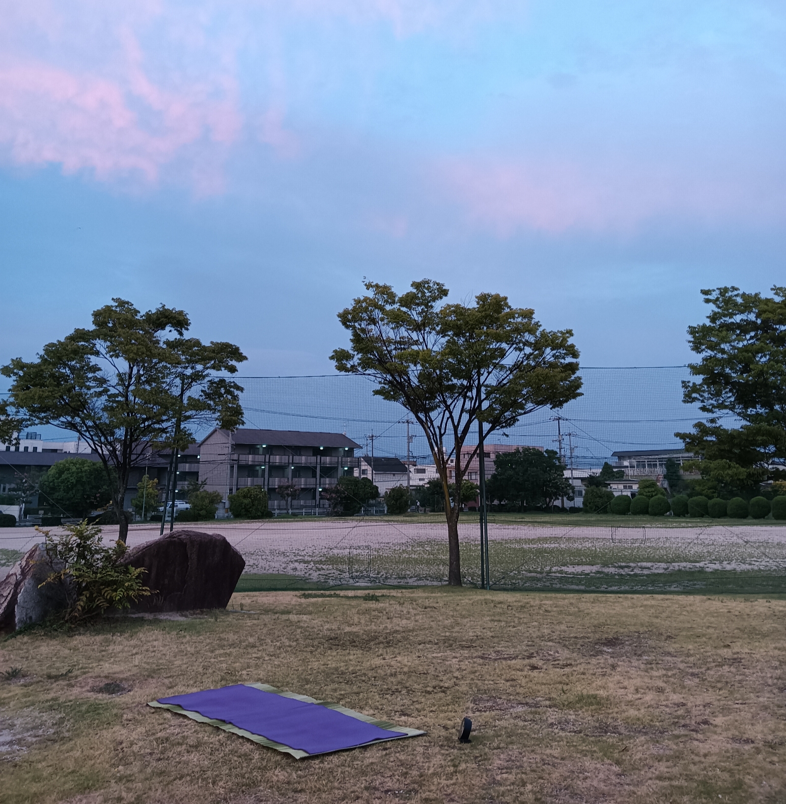 日の出前の空と芝生が広がる御南公園の風景
