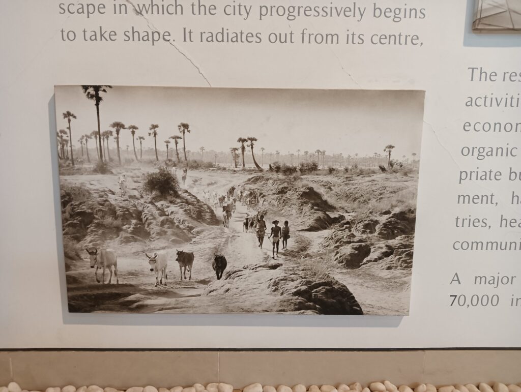 開拓初期のオーロヴィル、赤土の荒野が広がる風景