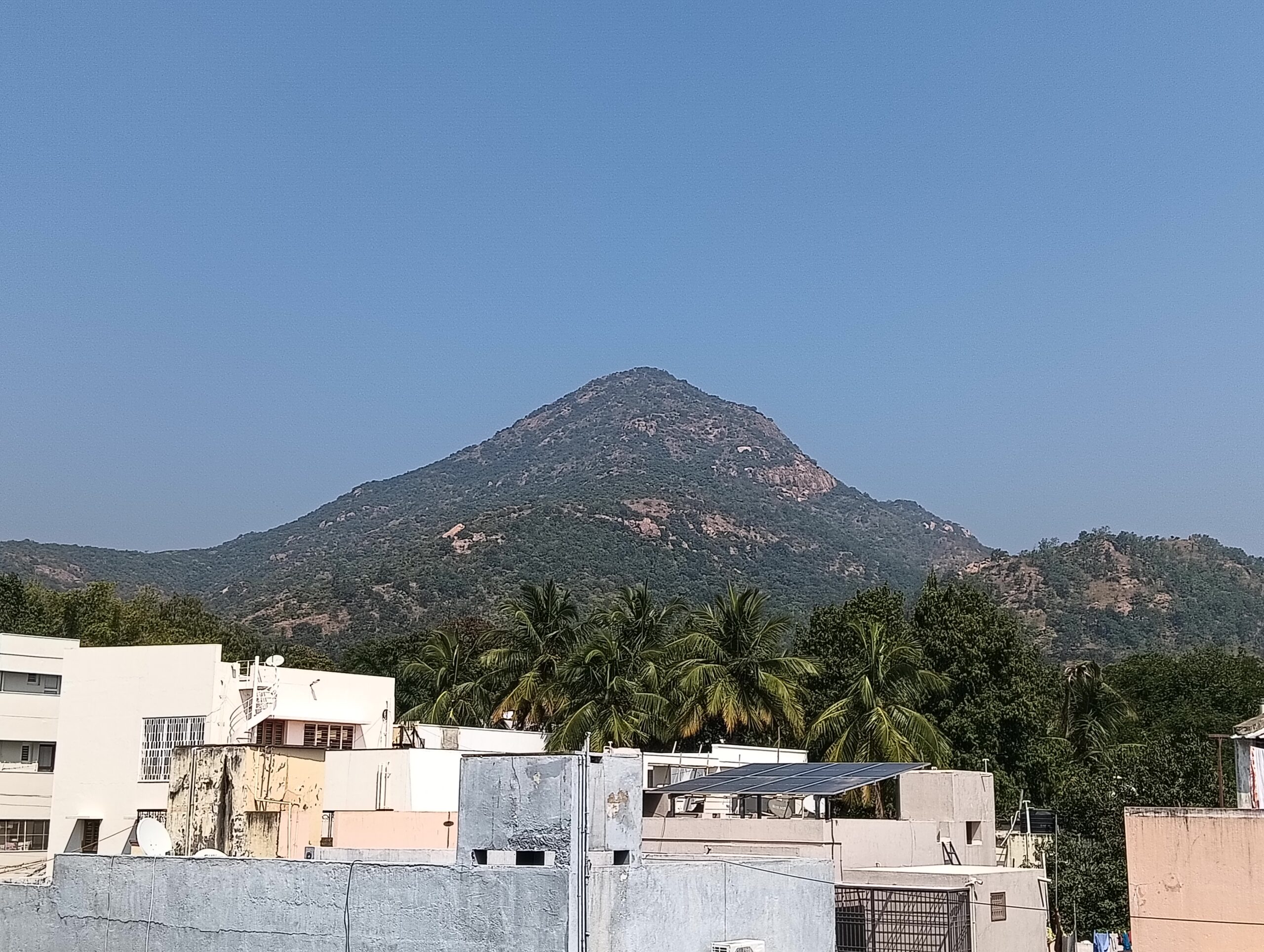 ゲストハウスの屋上から望むアルナーチャラ山。