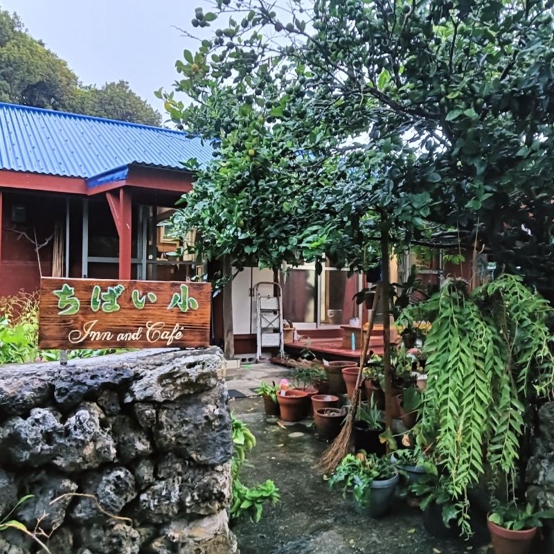 ちばい小の入り口