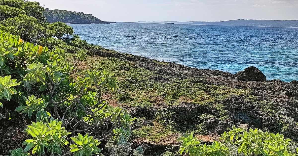 久高島ハビャーン地区の海岸植物群落、国の保護区域の自然