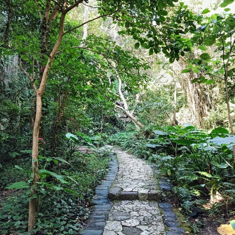 斎場御嶽の参道の様子